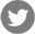 t_icon