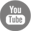 y_icon